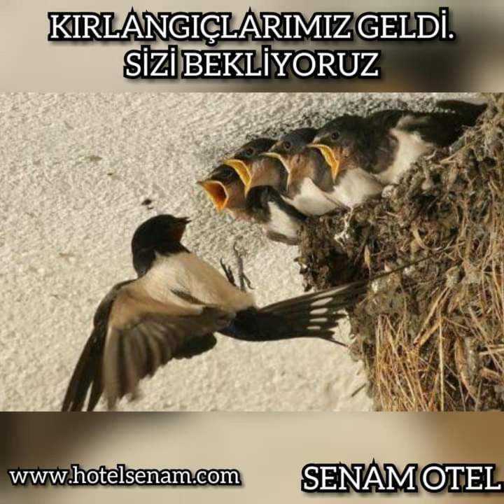 Senam Hotel Ocaklar Kültér fotó